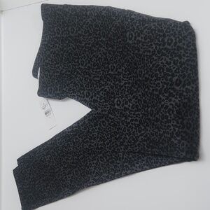 Leggings Loft Medium M NWT